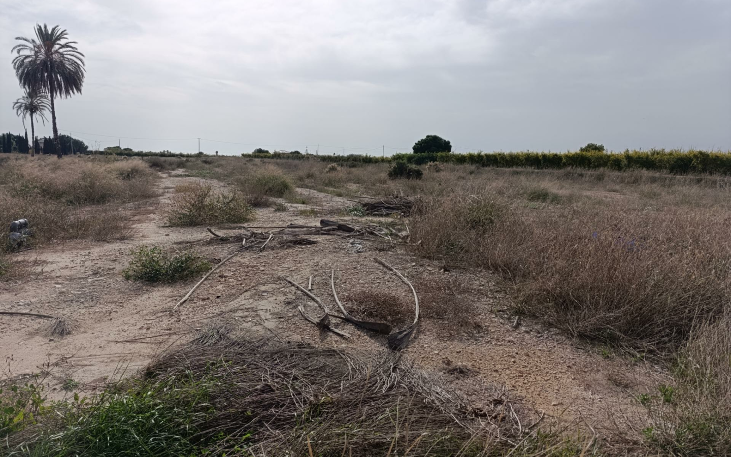 Land In Valverde (alicante), Spain (44.317 M² Plot)