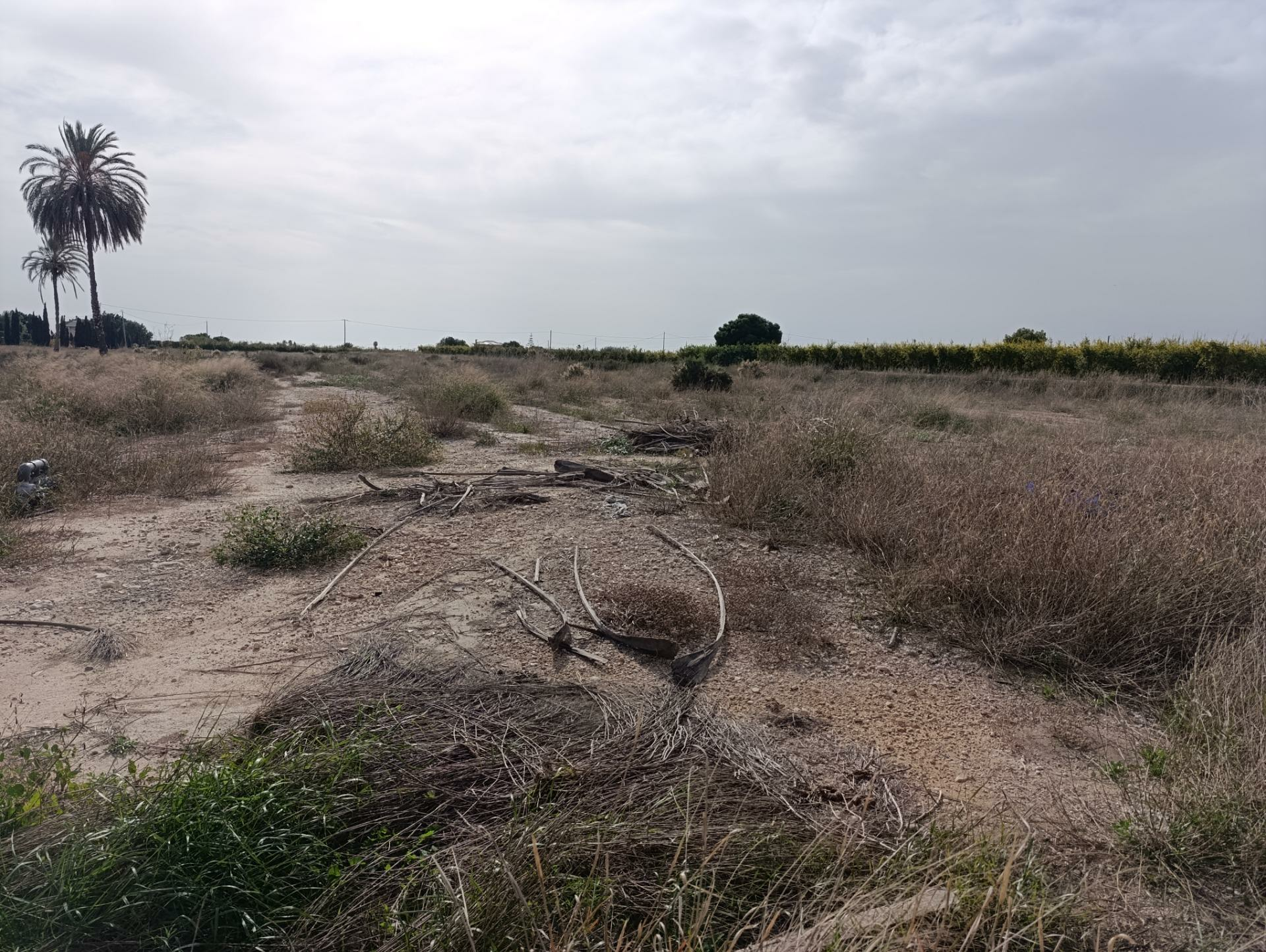 Land In Valverde (alicante), Spain (44.317 M² Plot)