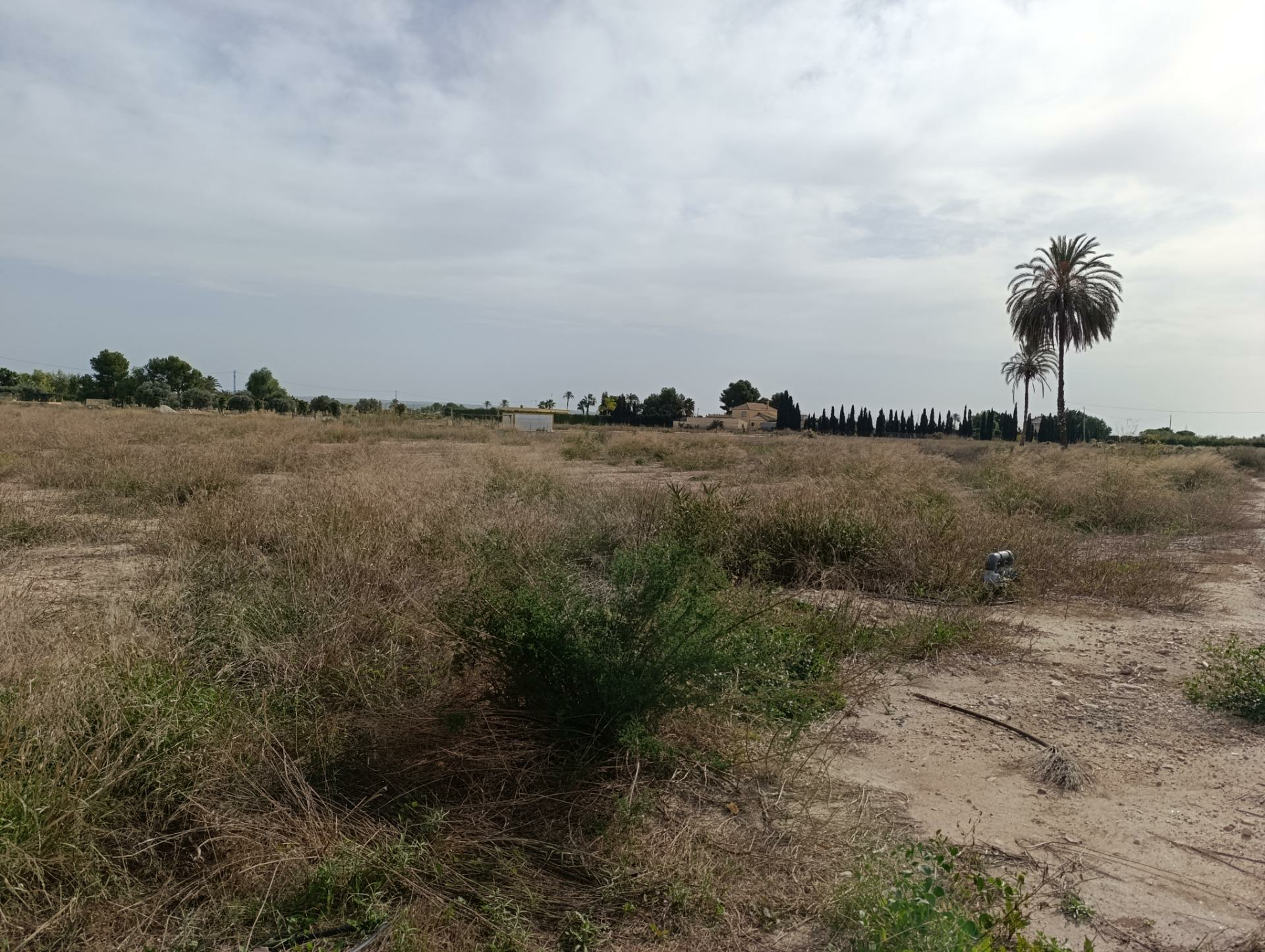 Land In Valverde (alicante), Spain (44.317 M² Plot)