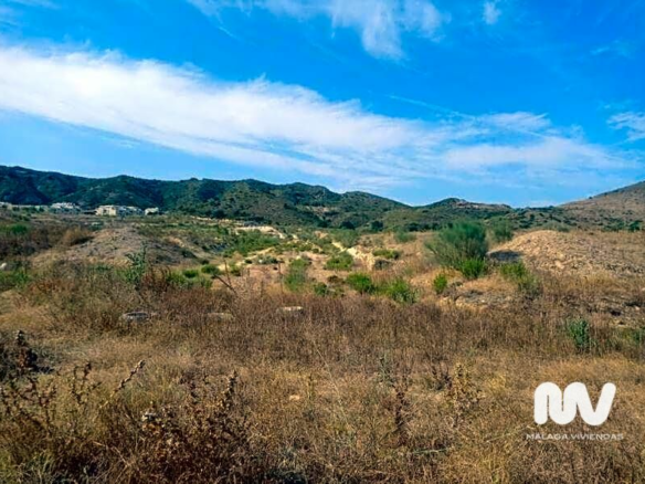 Land In Torrealquería, Spain (8.081 M² Plot)