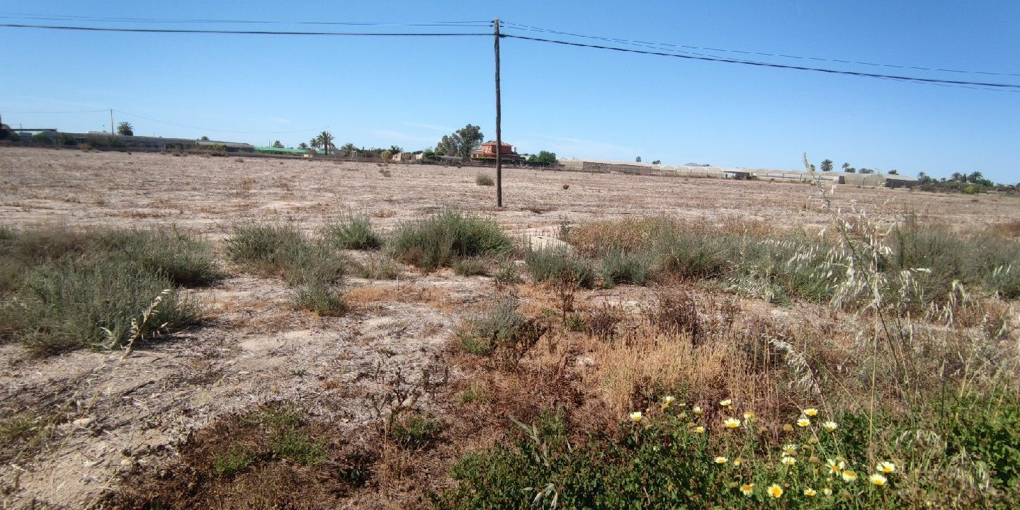 Urban Plot In Elche Pedanias, Spain (795 M²)