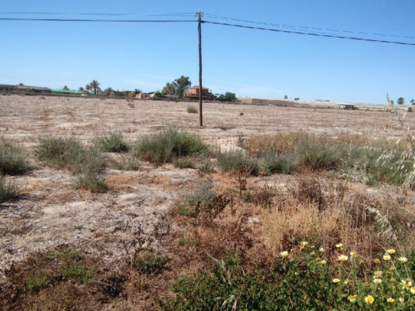 Urban Plot In Elche Pedanias, Spain (795 M²)