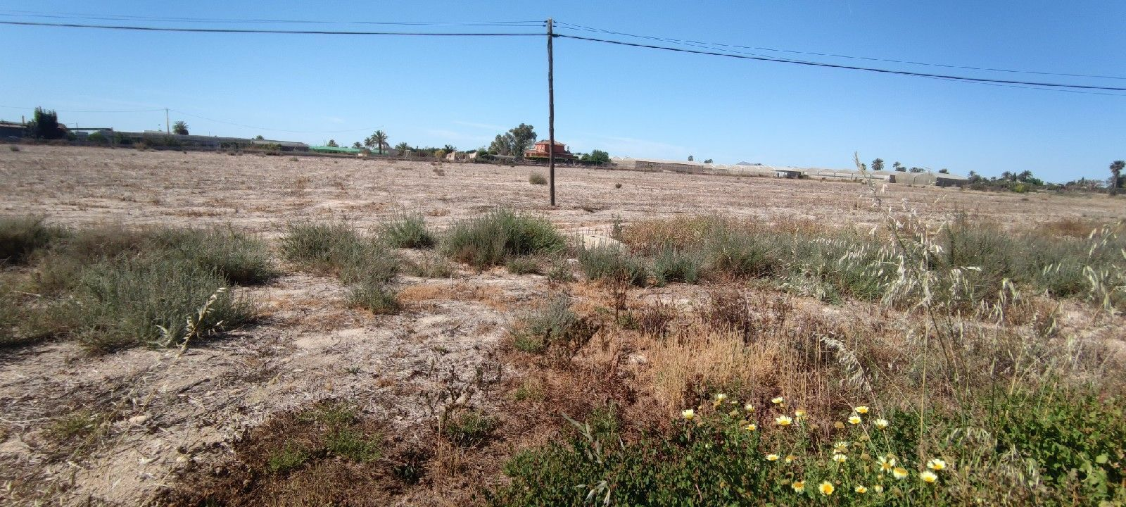 Urban Plot In Elche Pedanias, Spain (795 M²)