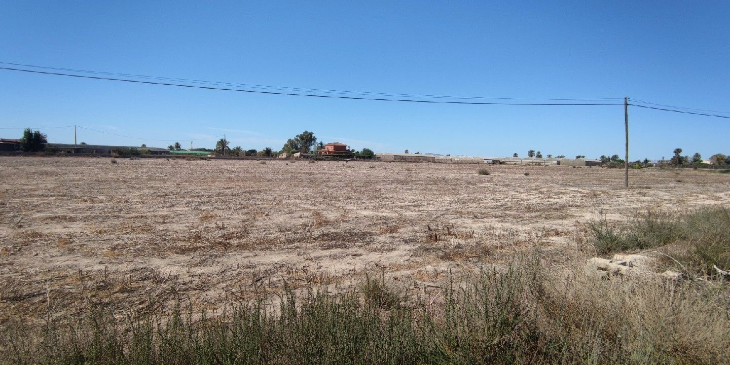 Urban Plot In Elche Pedanias, Spain (795 M²)