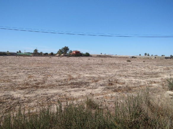 Urban Plot In Elche Pedanias, Spain (795 M²)