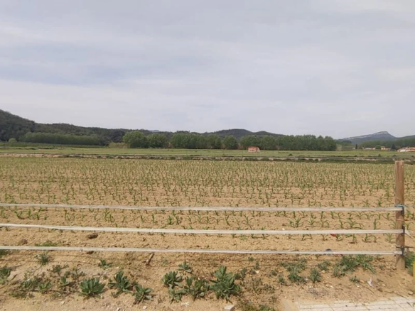 Land In Bescanó, Spain (2.356 M² Plot)