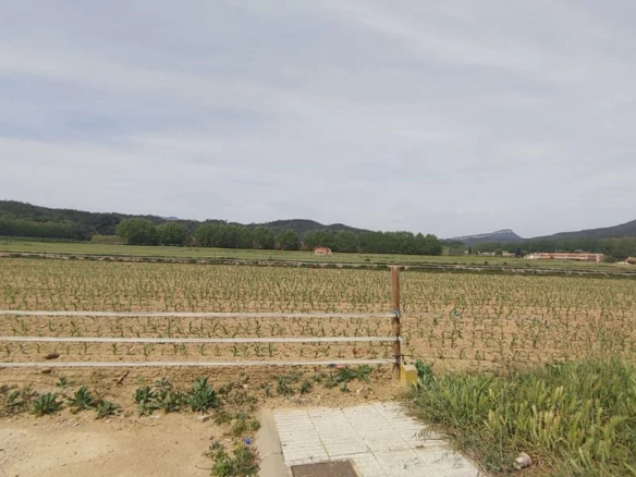 Land In Bescanó, Spain (2.356 M² Plot)