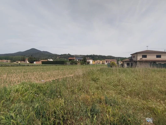 Land In Bescanó, Spain (2.356 M² Plot)