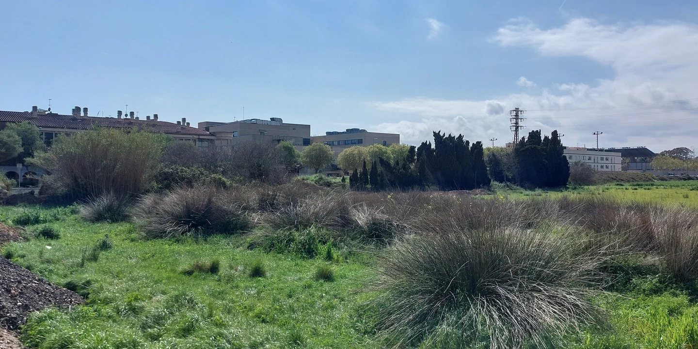 Land In Palamós, Spain (2.051 M² Plot)