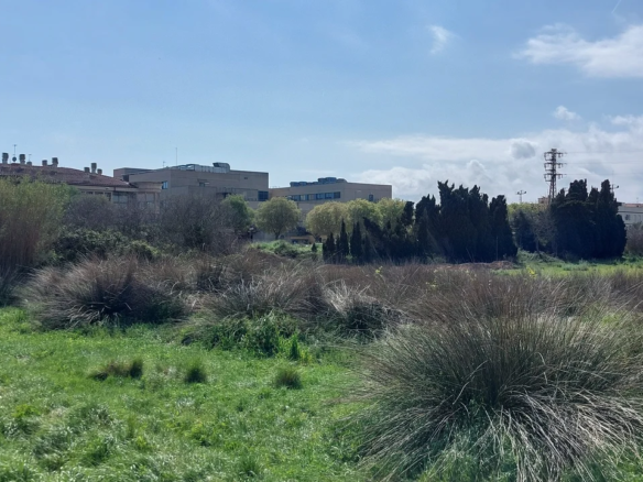 Land In Palamós, Spain (2.051 M² Plot)