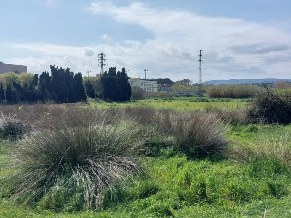 Land In Palamós, Spain (2.051 M² Plot)