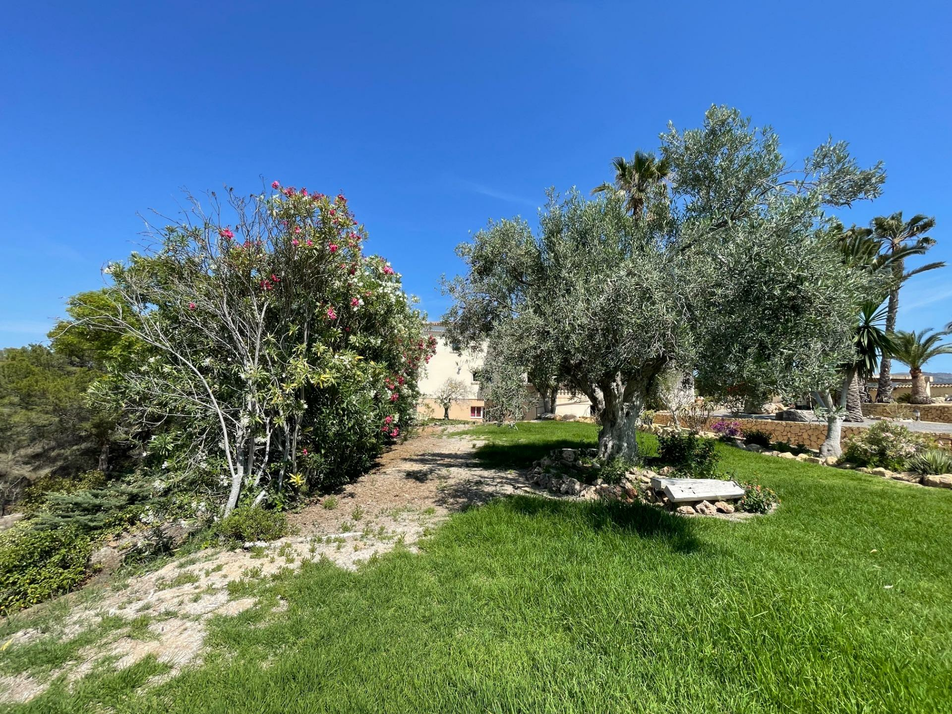 7-bedroom House In L’alfas Del Pi, Spain (972 M²)