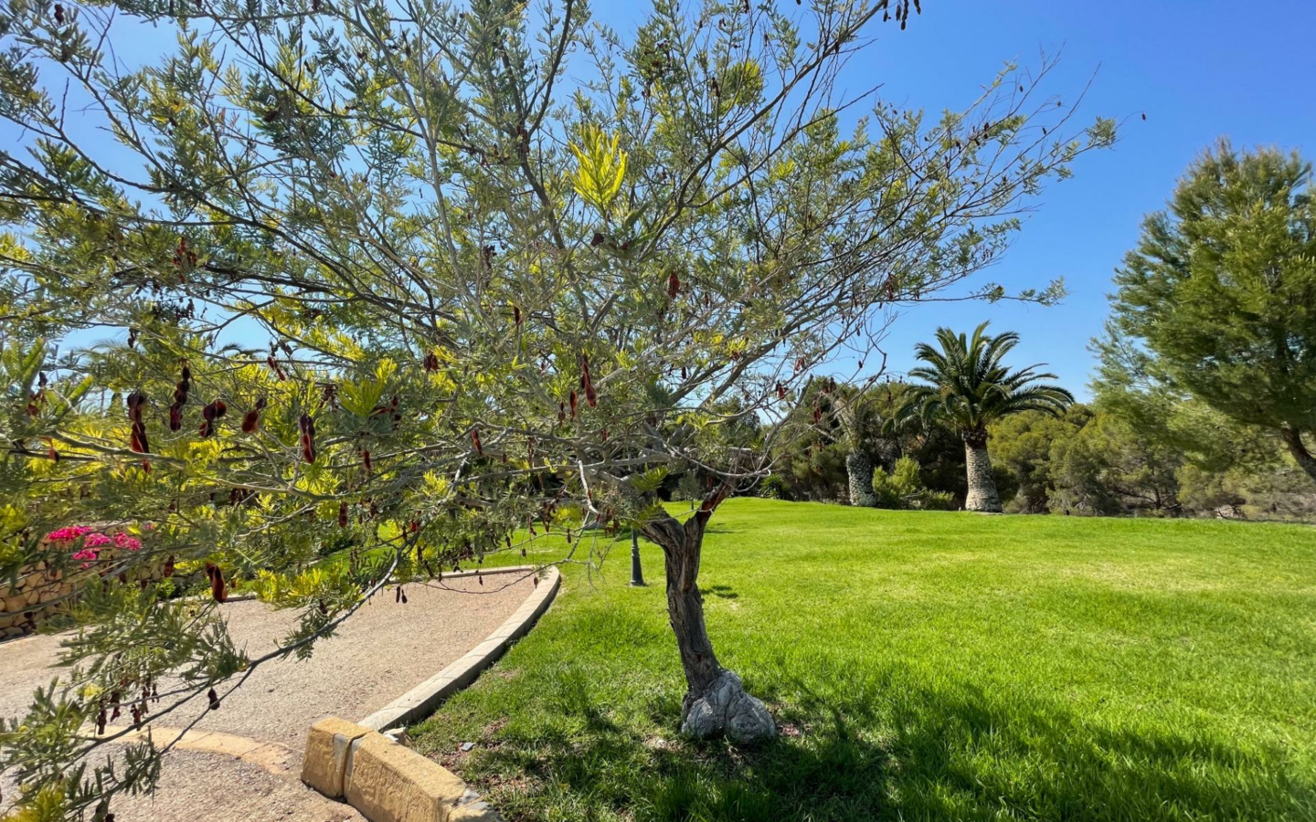 7-bedroom House In L’alfas Del Pi, Spain (972 M²)