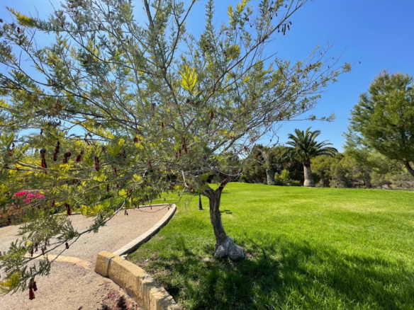 7-bedroom House In L’alfas Del Pi, Spain (972 M²)