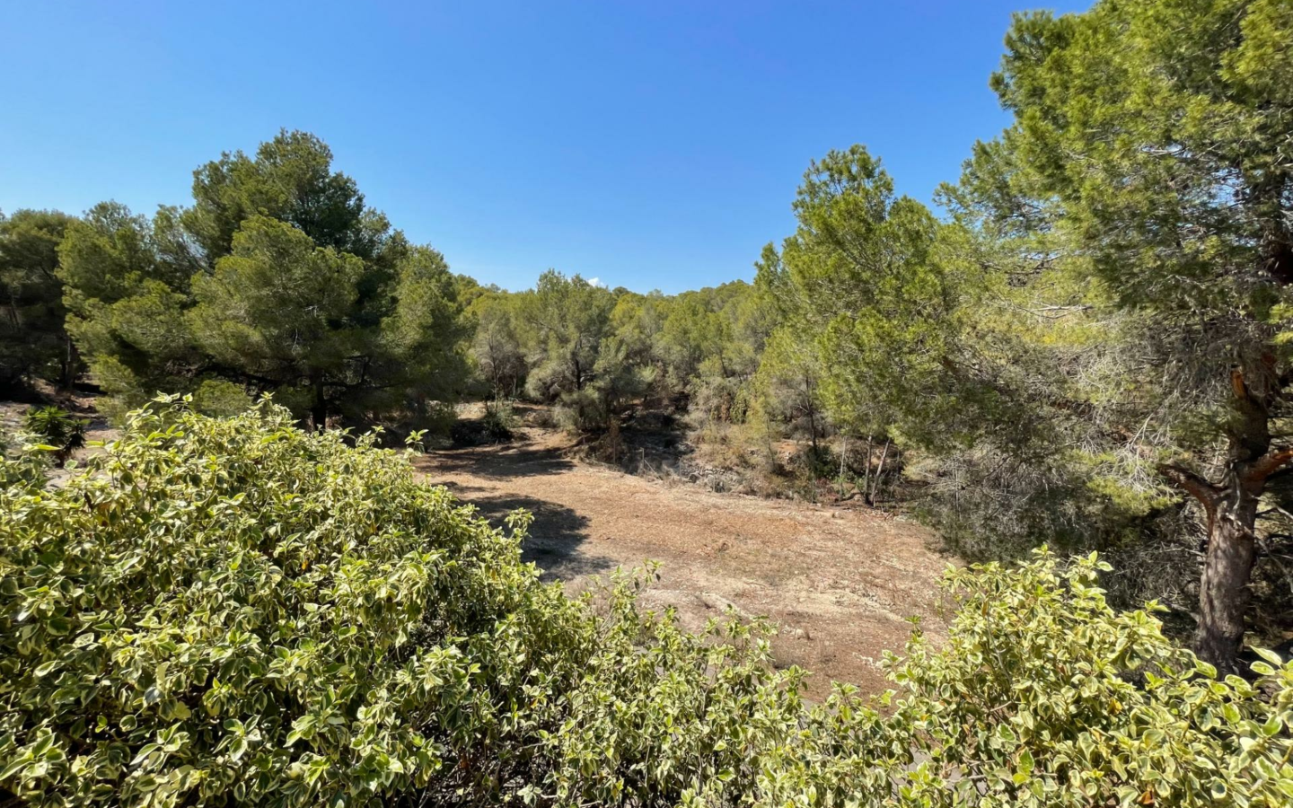 7-bedroom House In L’alfas Del Pi, Spain (972 M²)