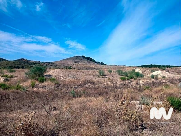 Land In Torrealquería, Spain (8.081 M² Plot)