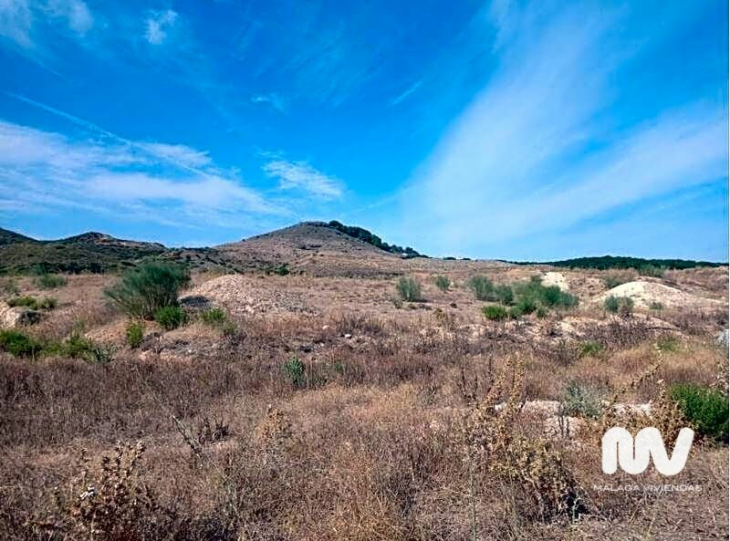 Land In Torrealquería, Spain (8.081 M² Plot)