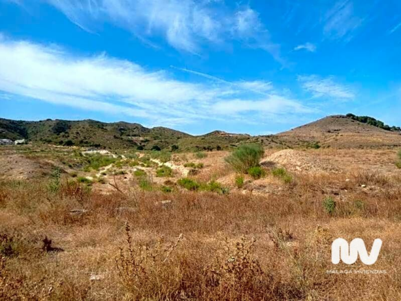Land In Torrealquería, Spain (8.081 M² Plot)
