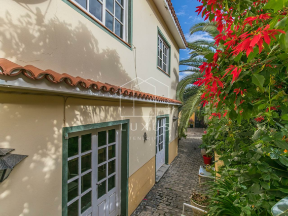 8-bedroom Villa In La Orotava, Spain (725 M²)