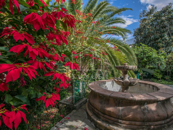 8-bedroom Villa In La Orotava, Spain (725 M²)