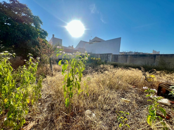 6-bedroom House In Pinoso, Spain (260 M²)