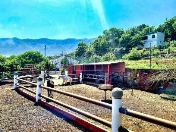 6-bedroom Country House In La Orotava, Spain (445 M²)