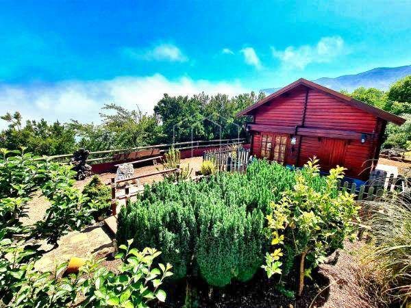 6-bedroom Country House In La Orotava, Spain (445 M²)