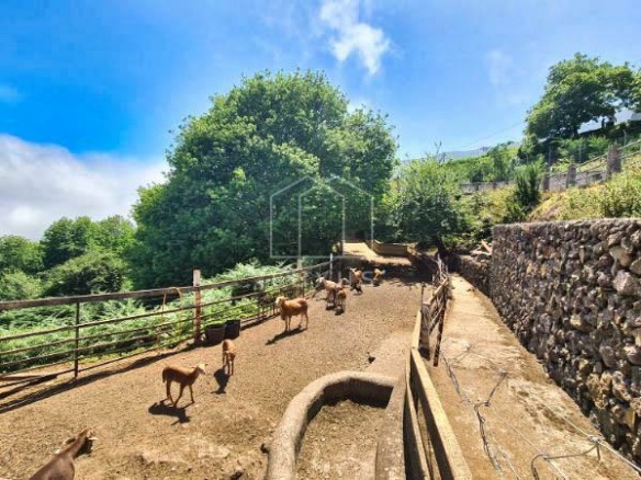 6-bedroom Country House In La Orotava, Spain (445 M²)