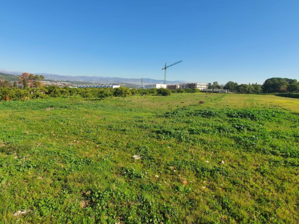 Land In Alhaurín De La Torre, Spain (30.416 M² Plot)