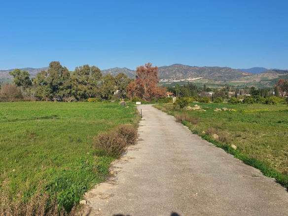 Land In Alhaurín De La Torre, Spain (30.416 M² Plot)