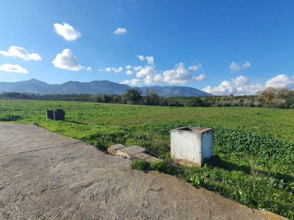 Land In Alhaurín De La Torre, Spain (30.416 M² Plot)