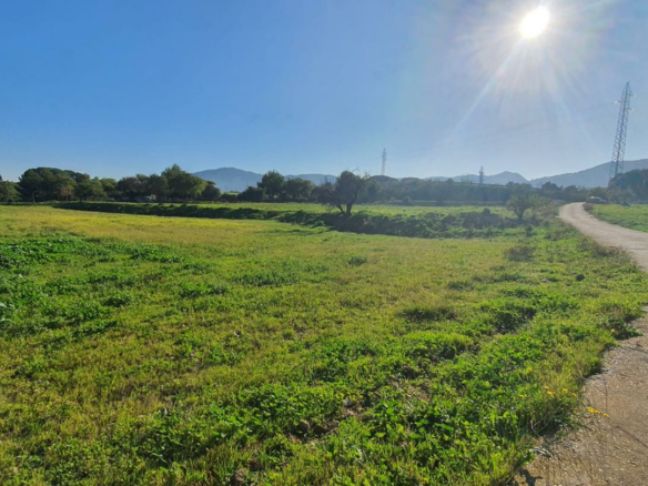 Land In Alhaurín De La Torre, Spain (30.416 M² Plot)
