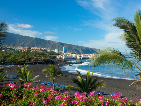 Building In Puerto De La Cruz, Spain (7.016 M²)