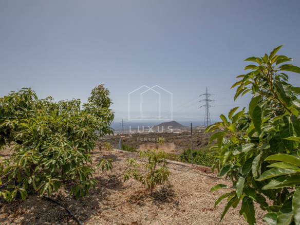 5-bedroom Villa In Arafo, Spain (225 M²)