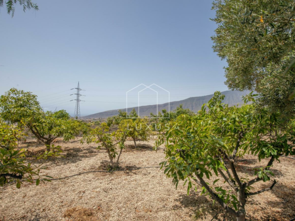5-bedroom Villa In Arafo, Spain (225 M²)