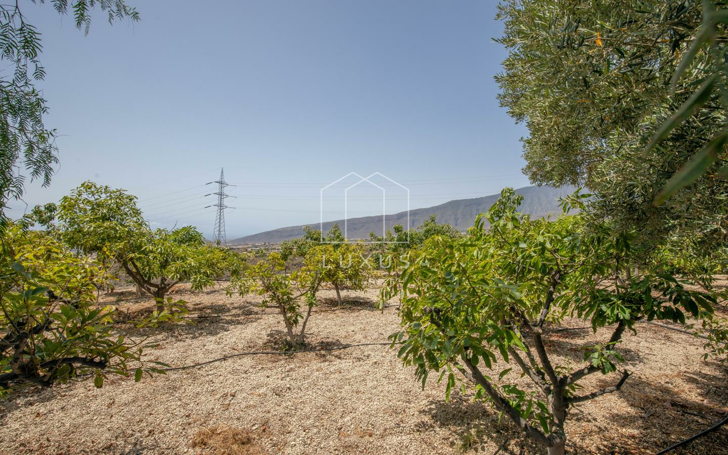 5-bedroom Villa In Arafo, Spain (225 M²)