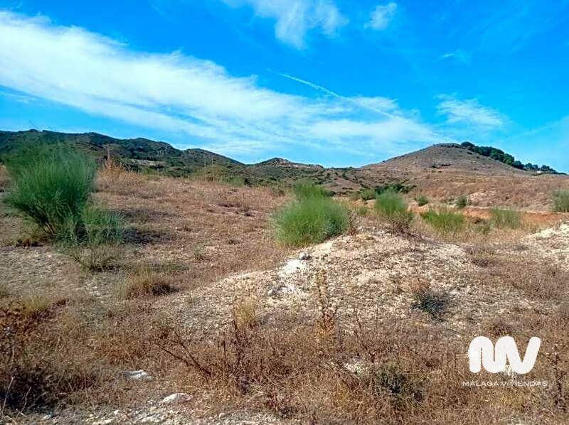 Land In Torrealquería, Spain (8.081 M² Plot)
