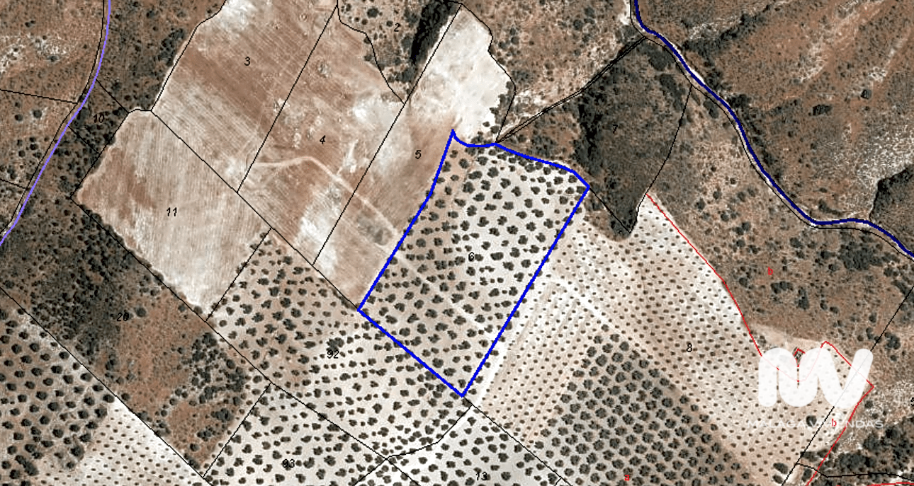 Land In Antequera, Spain (23.027 M² Plot)