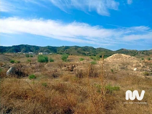 Land In Torrealquería, Spain (8.081 M² Plot)