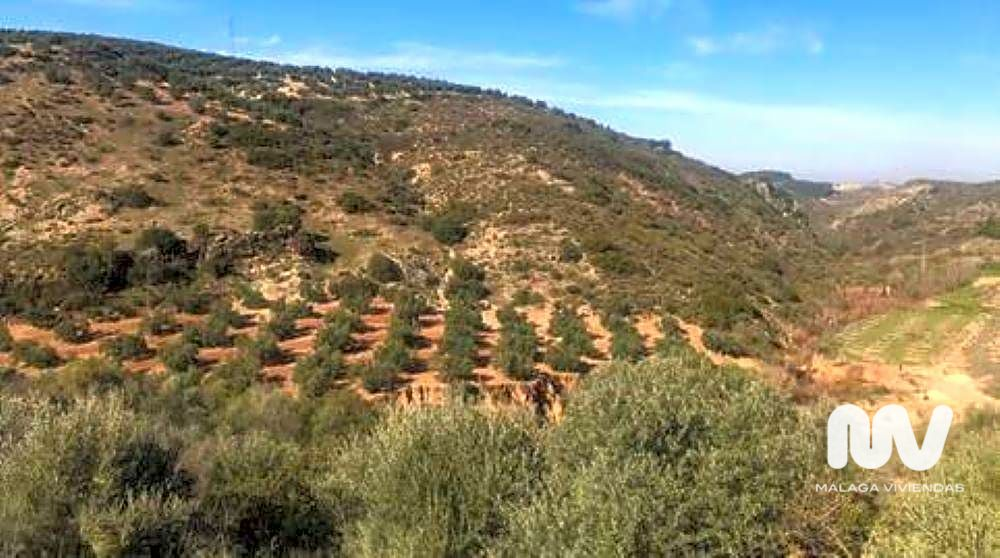 Land In Antequera, Spain (23.027 M² Plot)