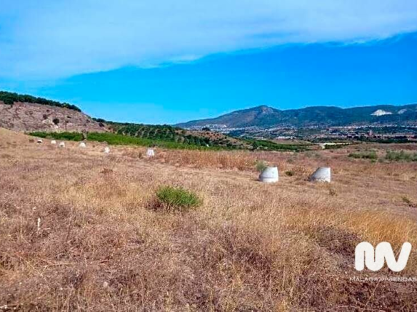 Land In Torrealquería, Spain (8.081 M² Plot)