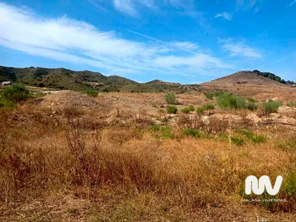 Land In Torrealquería, Spain (8.081 M² Plot)