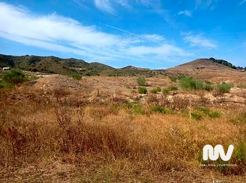 Land In Torrealquería, Spain (8.081 M² Plot)