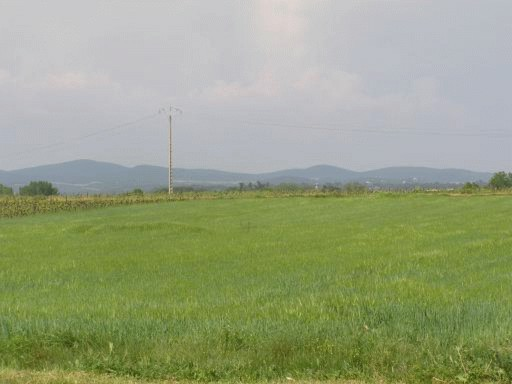 Land In Autignac, France (10.000 M² Plot)