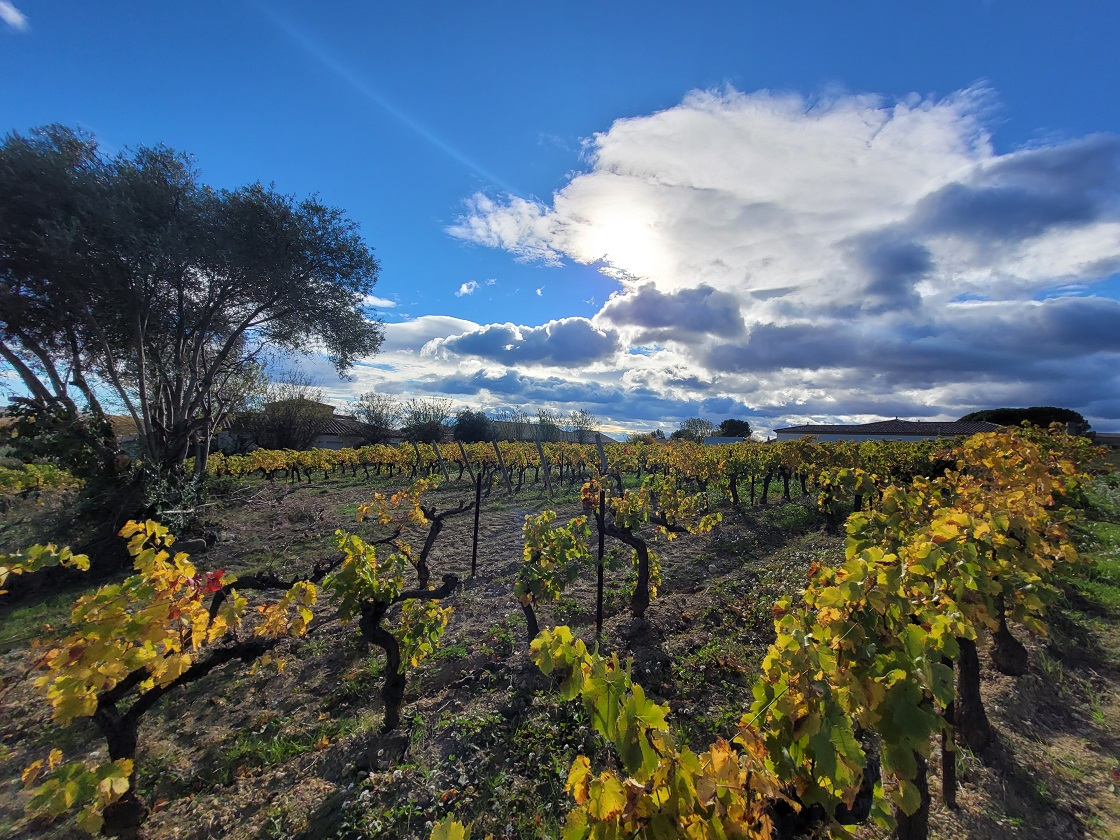 Land In Autignac, France (1.643 M² Plot)