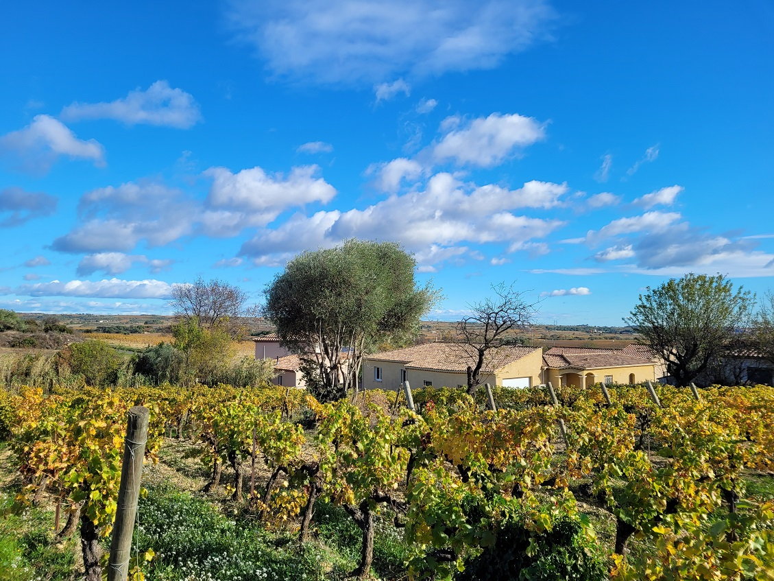 Land In Autignac, France (1.643 M² Plot)