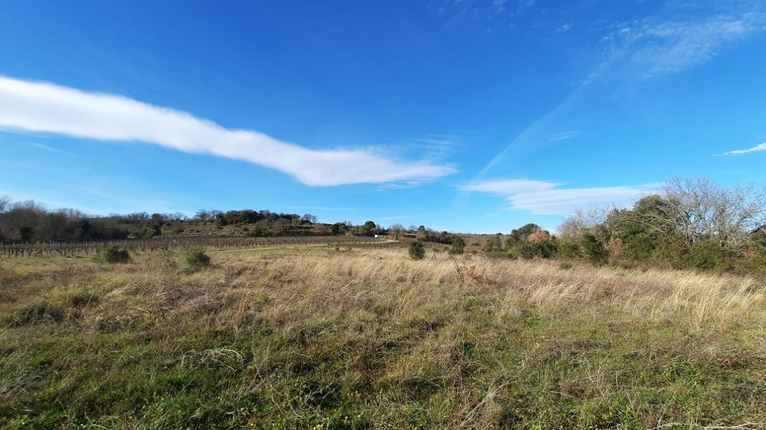 Land In Saint Genies De Fontedit, France (4.620 M² Plot)
