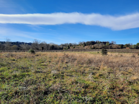 Land In Saint Genies De Fontedit, France (4.620 M² Plot)