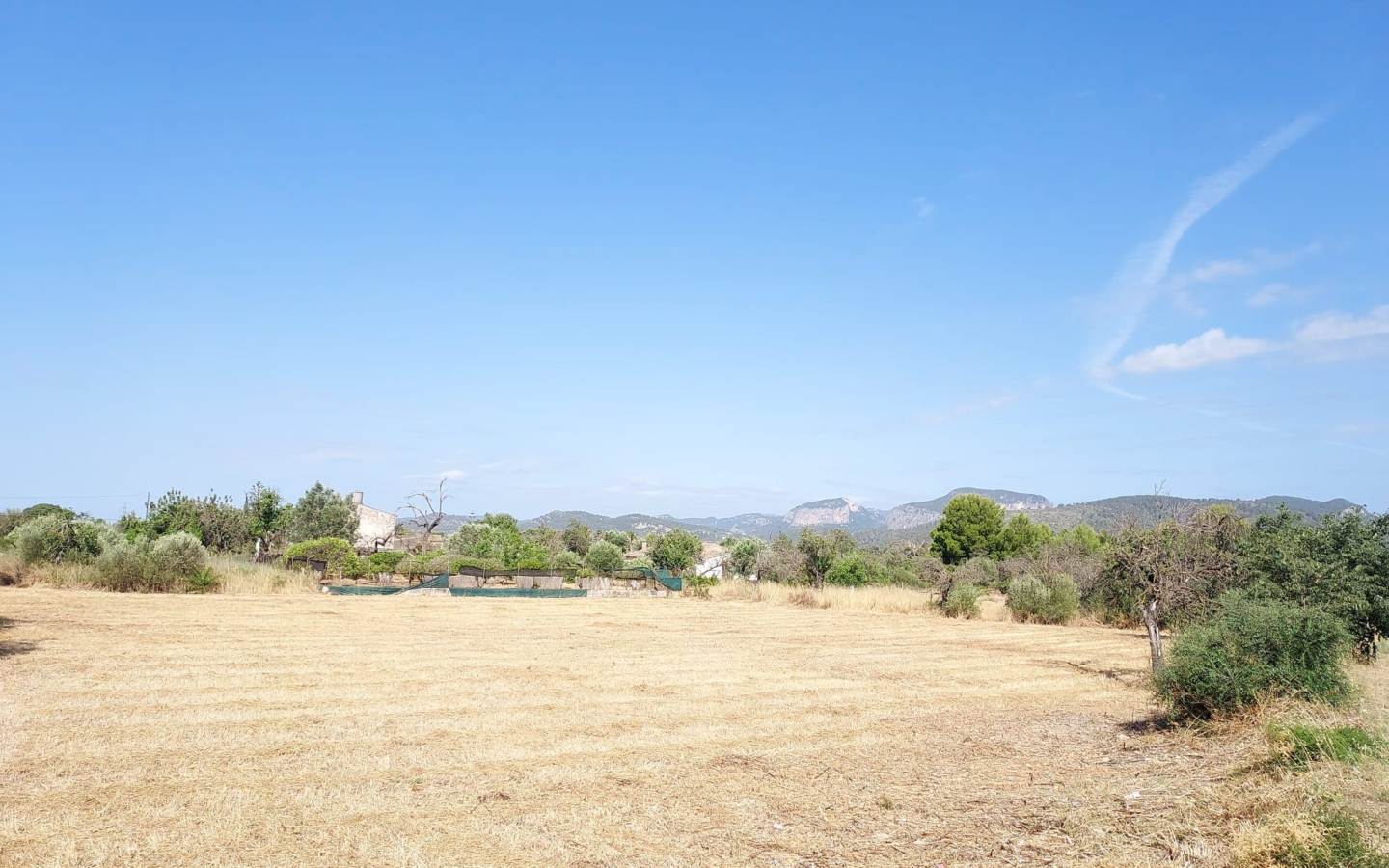 Land In Inca, Spain (4.574 M² Plot)