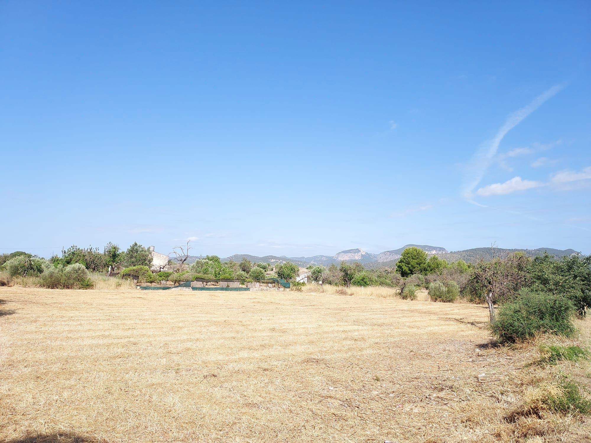 Land In Inca, Spain (4.574 M² Plot)